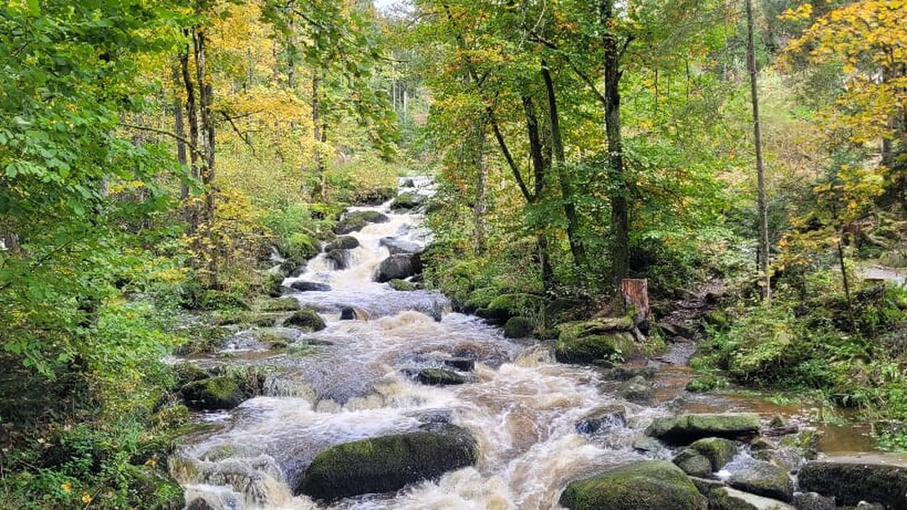 Saußbachklamm (3).jpg Saußbachklamm (3).jpg